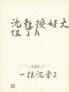 沈教授好大含不住了h