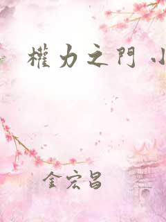 权力之门 小说