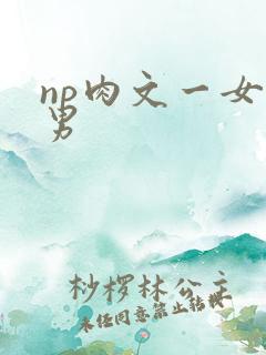 np肉文一女多男