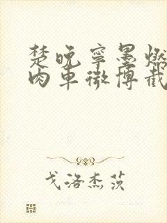 楚晚宁墨燃所有肉车微博截图