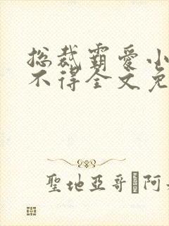 总裁霸爱小妻惹不得全文免费阅读笔趣阁