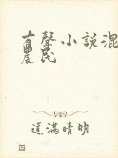 有声小说混世小农民