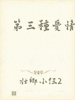 第三种爱情番外