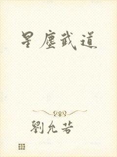 星尘武道