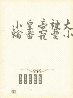 小皇帝被大臣们轮番宠爱小说