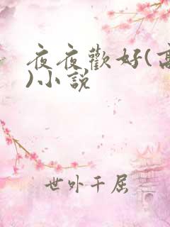 夜夜欢好(高h)小说