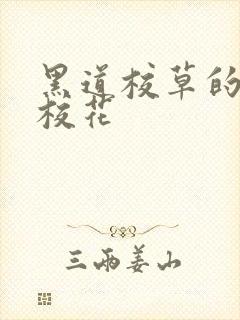 黑道校草的黑道校花