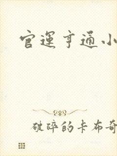 官运亨通小说