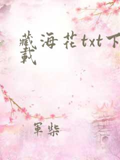 藏海花txt下载