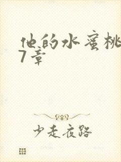 他的水蜜桃第27章