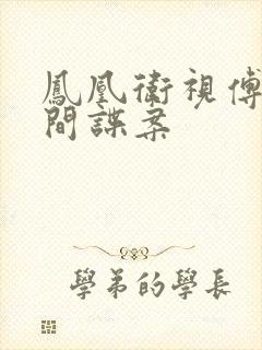 凤凰卫视傅晓田间谍案