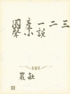 国产一二三区有声小说