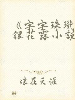 《字字珠玑》金银花露小说