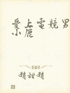 爱上电竞男神林小鹿