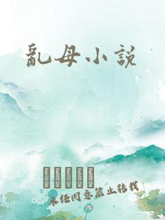 乱母小说