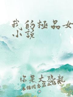 我的极品女老师小说