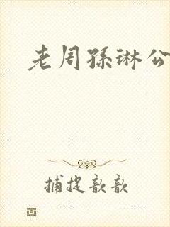 老周孙琳公交车