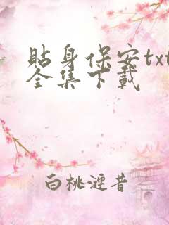 贴身保安txt全集下载