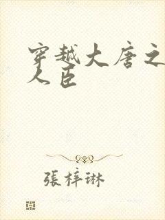 穿越大唐之位极人臣