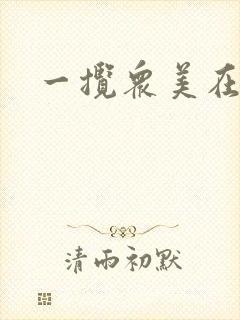 一揽众美在三国