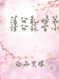 荡公乱妇第1章情公苏雪小说