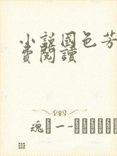 小说国色芳华免费阅读