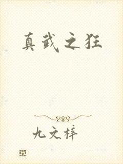 真武之狂
