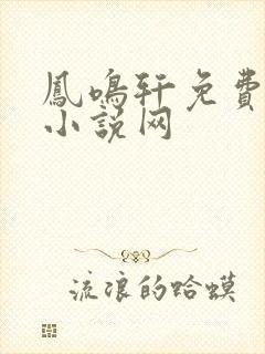 凤鸣轩免费言情小说网