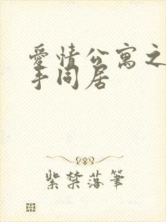 爱情公寓之与杀手同居