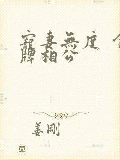 宠妻无度  金牌相公