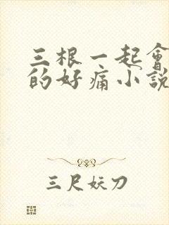 三根一起会坏掉的好痛小说