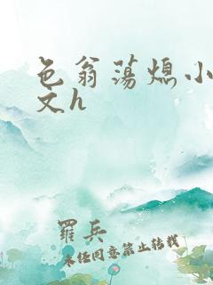 色翁荡熄小说全文h