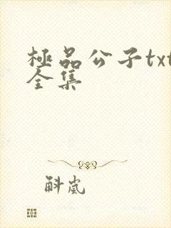 极品公子txt全集