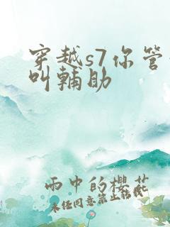 穿越s7你管这叫辅助