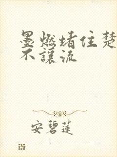 墨燃堵住楚晚宁不让流