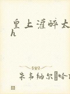 皇上灌醉太子妃h