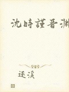 沈时谨晋渊小说