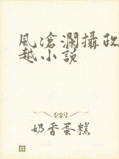 风沧澜摄政王穿越小说