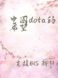 中国dota的希望