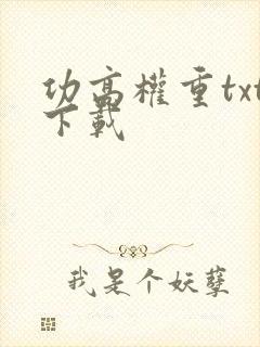 功高权重txt下载