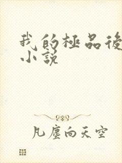 我的极品后宫 小说