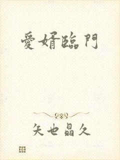 爱婿临门