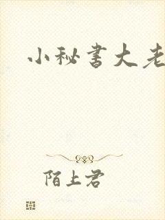 小秘书大老婆