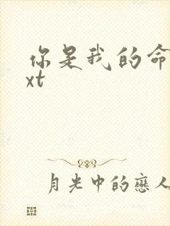 你是我的命运txt