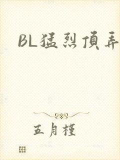 BL猛烈顶弄H