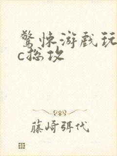 惊悚游戏玩npc总攻