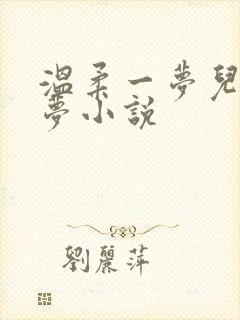 温柔一梦儿媳林梦小说