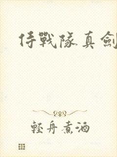 侍战队真剑者2