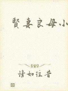 贤妻良母小说