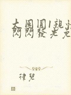 大团圆1亲情会闪闪发光免费